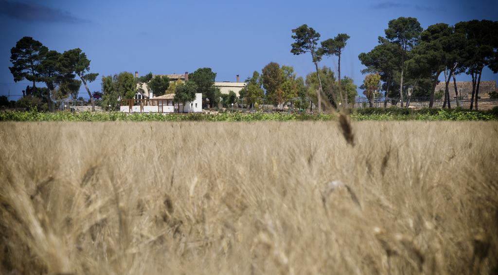 Residence Casale Verderame Trapani Buitenkant foto